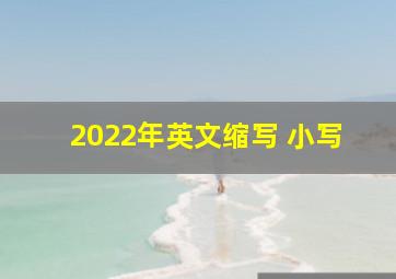 2022年英文缩写 小写